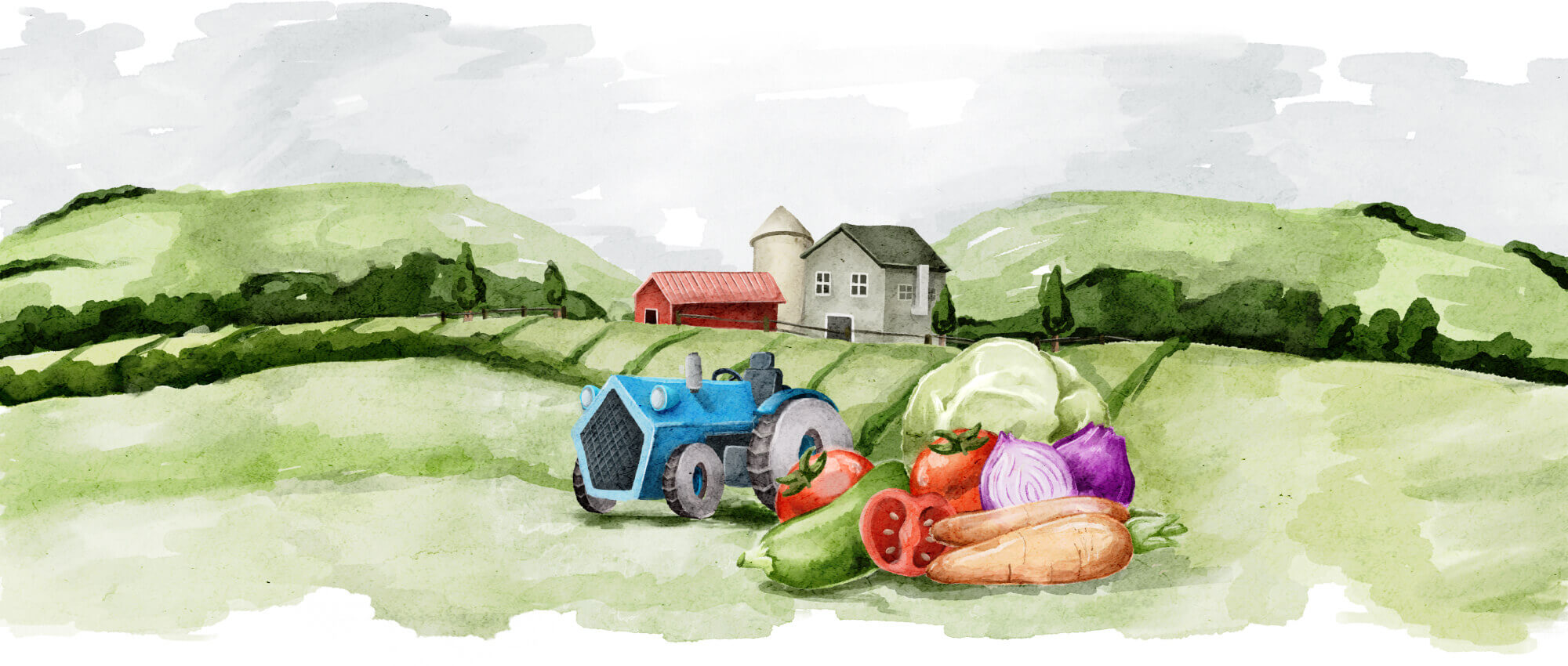 organic-farming-illustrations-01
